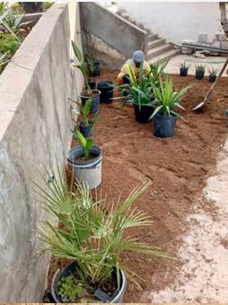 Plantation local administratif Medjez el Bab